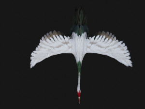 Crane BirdA1 Modelo 3D