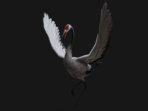 Guindaste BirdA1 Modelo 3D