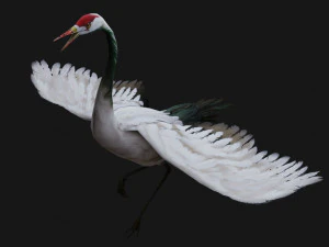 Guindaste BirdA1 Modelo 3D