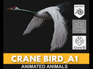 Crane BirdA1 3D Model
