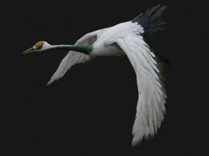 Crane BirdA2 3D Model