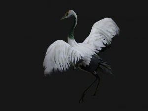 Crane BirdA2 3D Model