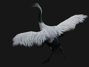 Crane BirdA2 3D Model