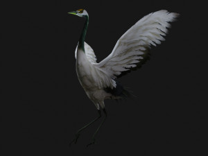 Crane BirdA2 Model 3D