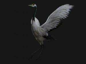Crane BirdA2 3D Model