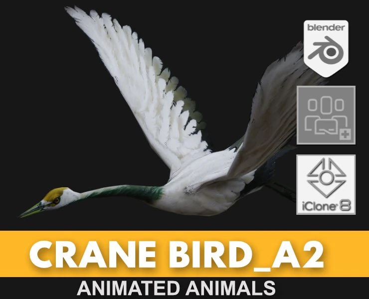 Crane BirdA2 3D Model .c4d .max .obj .3ds .fbx .stl .blend 