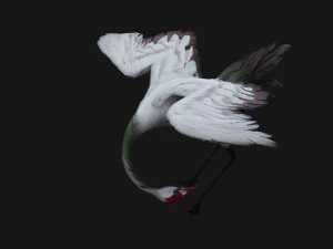 Crane BirdA3 3D Model