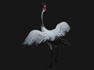 Crane BirdA3 3Dモデル