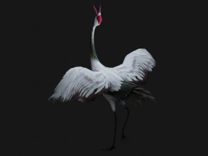 Crane BirdA3 3D Model