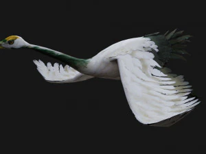 Crane BirdA4 3D Model