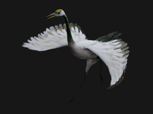 Crane BirdA4 3D-Modell