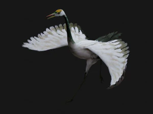 Crane BirdA4 3D Model
