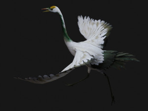 Crane BirdA4 3D-Modell