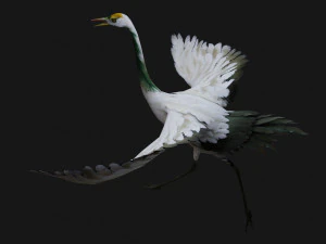 Crane BirdA4 3D Model