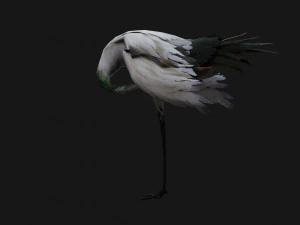 Crane BirdA4 3D Model