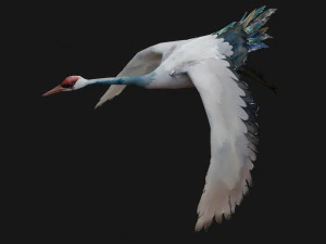 Crane BirdA5 3D Model