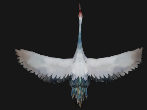 Crane BirdA5 Modello 3D