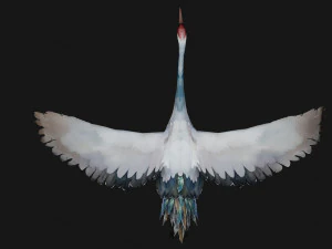 Crane BirdA5 3D Model
