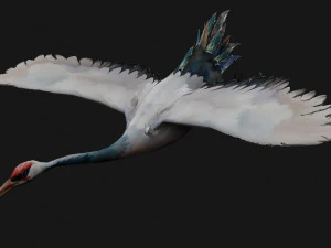Crane BirdA5 3D Model