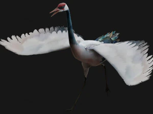 Crane BirdA5 3D Model