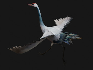 Crane BirdA5 Modello 3D