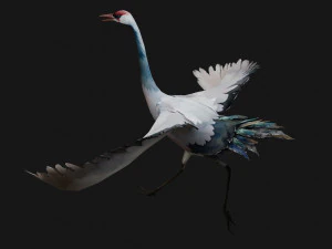 Crane BirdA5 3D Model