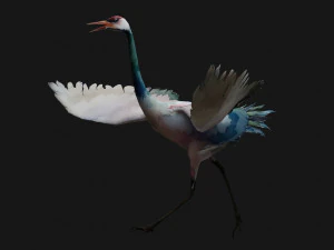 Crane BirdA6 3D Model