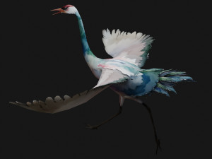 Crane BirdA6 3D Model
