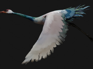 Crane BirdA6 3D Model