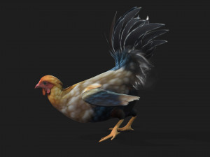 ChickenA1 3D Модель