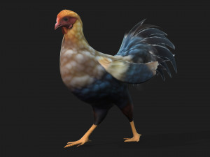 ChickenA1 3D Модель