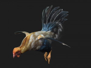 ChickenA1 3D Модель