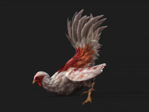 ChickenA2 3D Model