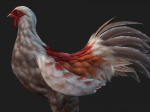 ChickenA2 3D Model