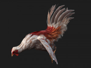 ChickenA2 Model 3D