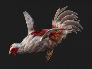 ChickenA2 Model 3D