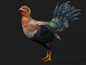 ChickenA3 Model 3D