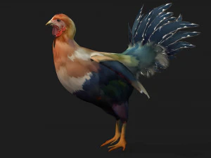 ChickenA3 3D Model