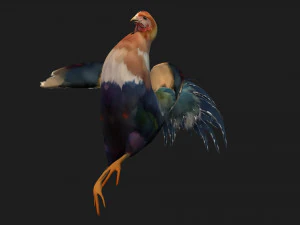 ChickenA3 3D Model