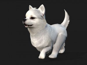DogA1 3Dモデル
