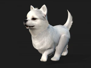 DogA1 3D Model