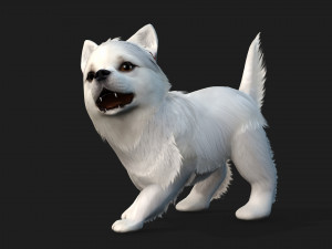 DogA1 3Dモデル