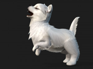 DogA1 3Dモデル