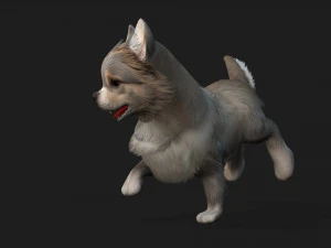 DogA2 3D Model
