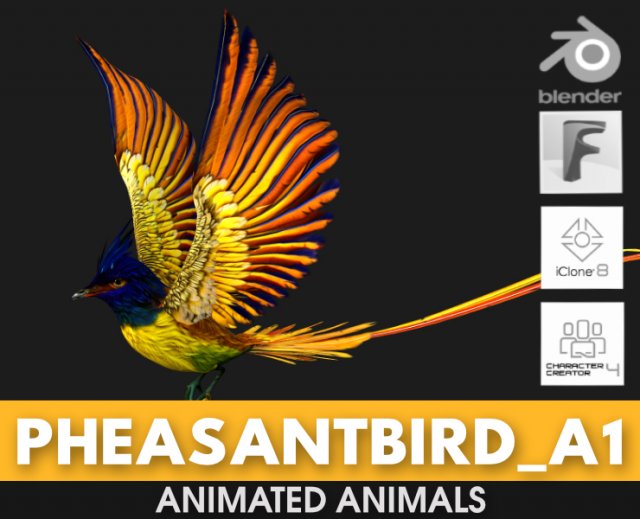 PheasantBirdA1 3D Модель .c4d .max .obj .3ds .fbx .stl .blend 