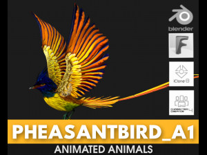 PheasantBirdA1 3D Модель