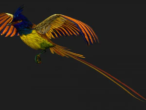 FagianoUccelloA1 Modello 3D