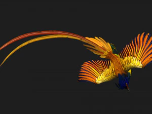 FagianoUccelloA1 Modello 3D