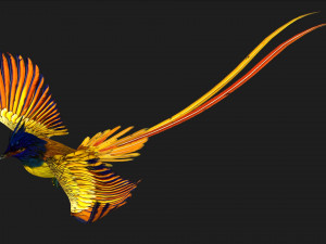 PheasantBirdA1 3D Модель