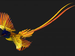 FagianoUccelloA1 Modello 3D